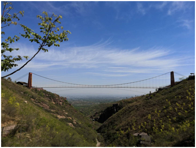 二等奖：《桥》