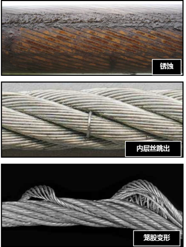 奶瓶视频成人APP